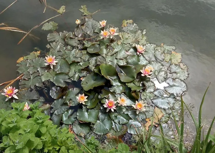 chambre coin nature